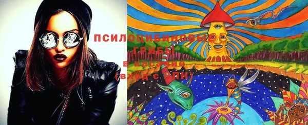jwh Белокуриха