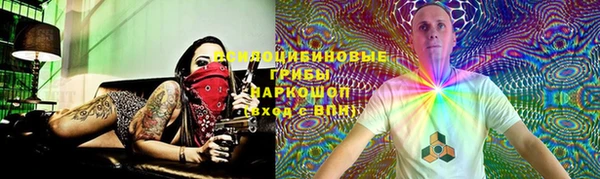 jwh Белокуриха