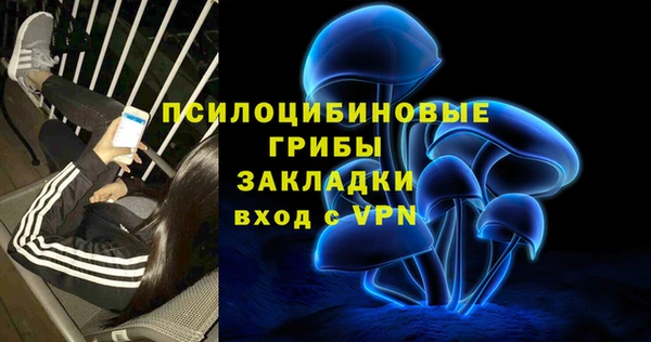 jwh Белокуриха