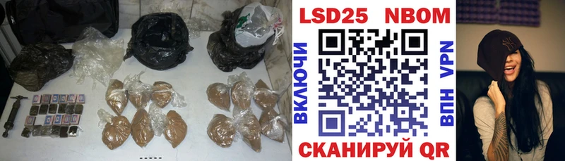 где купить наркоту  Светлогорск  ЛСД экстази кислота 